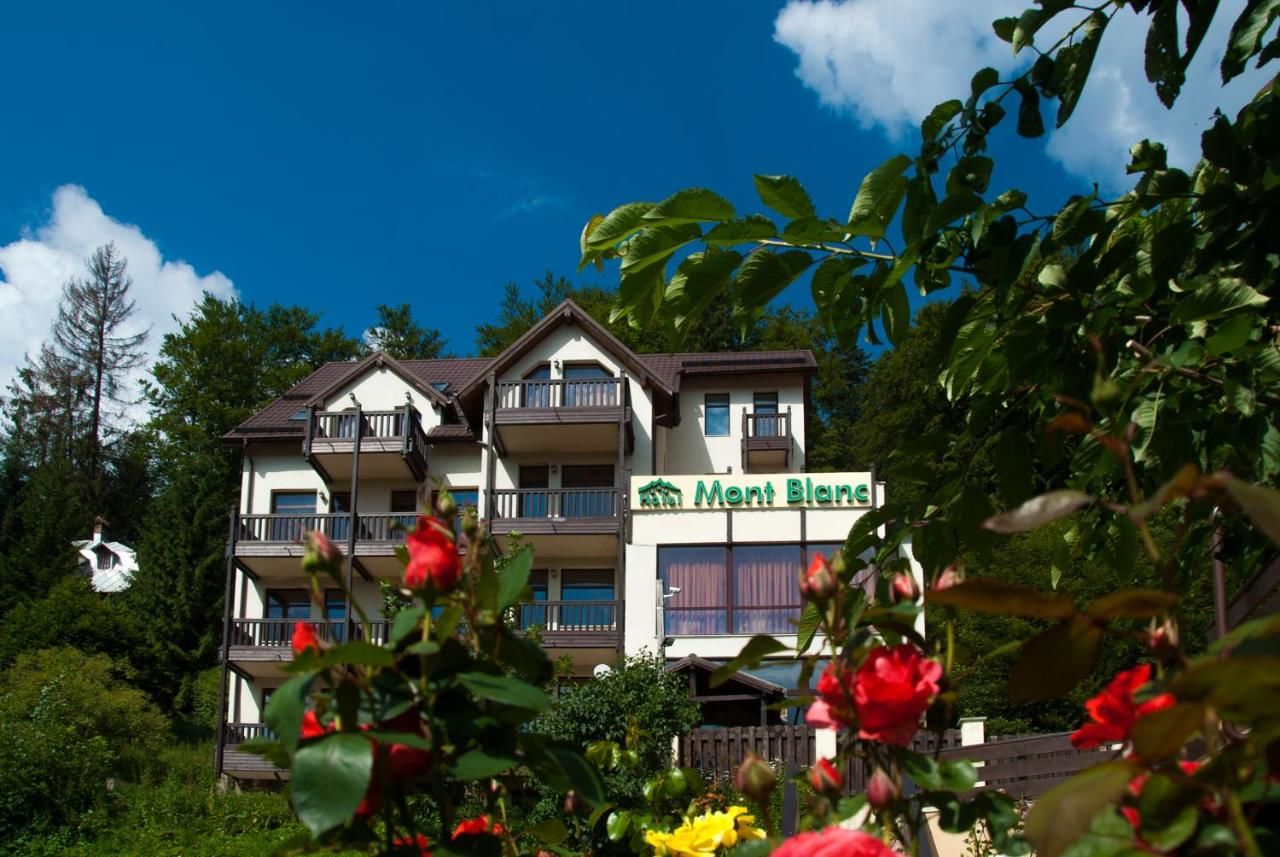 Отель Hotel Mont Blanc Предял-4
